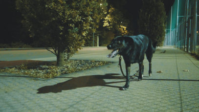 inizio stagione 2018