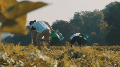 ForzaLuganoForza_Amici_Della_Vita